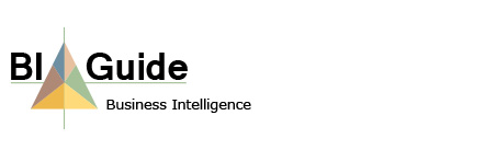 BI-guide Business Intelligence